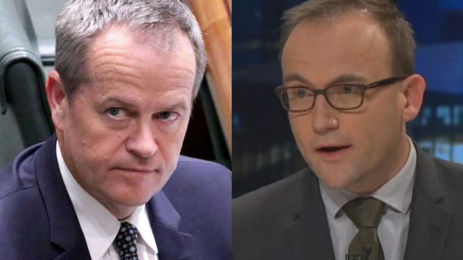 bill shorten and adam brandt