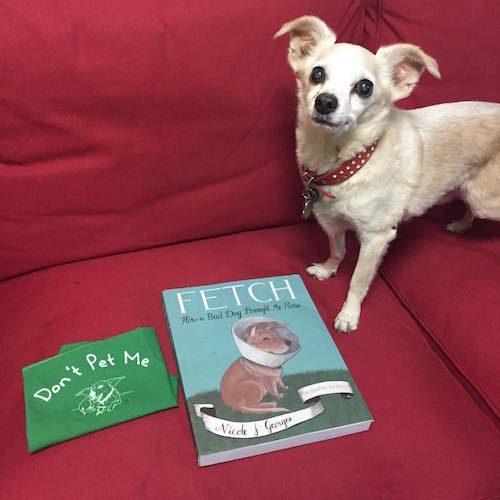 small dog with the book 'Fetch'