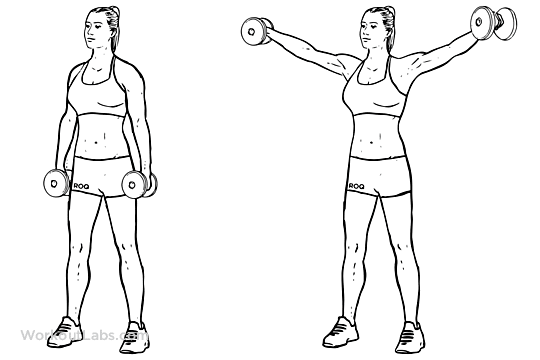 woman doing dumbell exercise drawing 