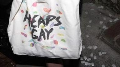 Heaps-Gay-Totes-lotl