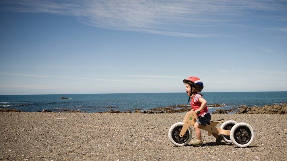 The Wishbone Bike