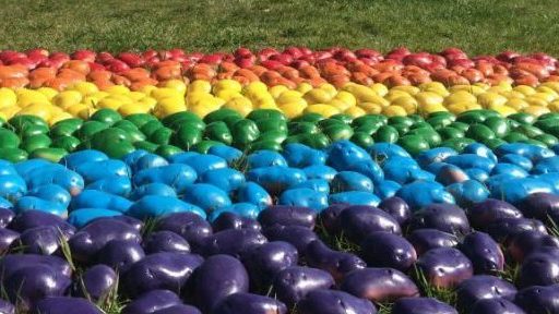 A Potato Pride Flag